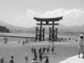 「 世界遺産・厳島神社　干潮の大鳥居」