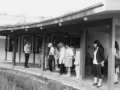 「川本氏の説明を受ける参加者」